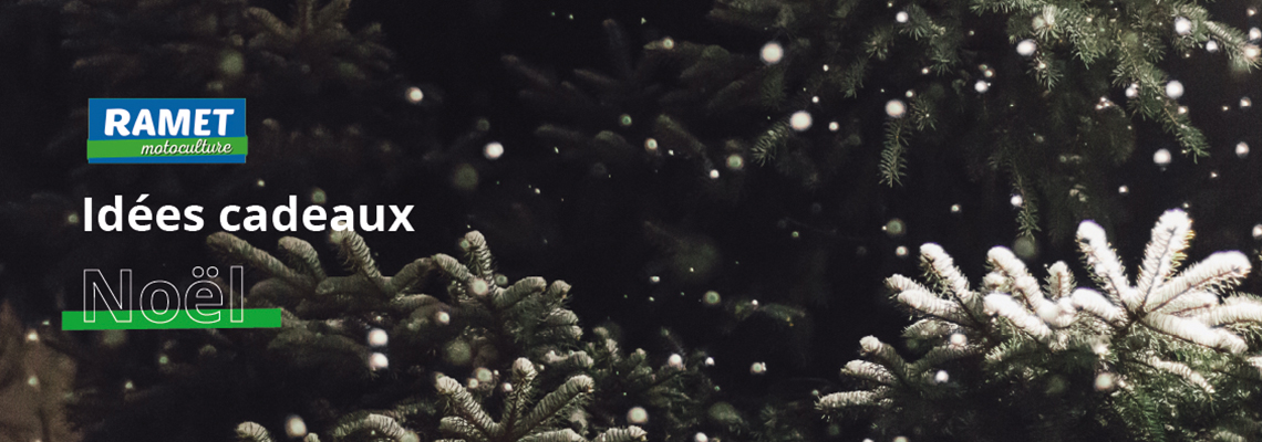 Header-page-noel