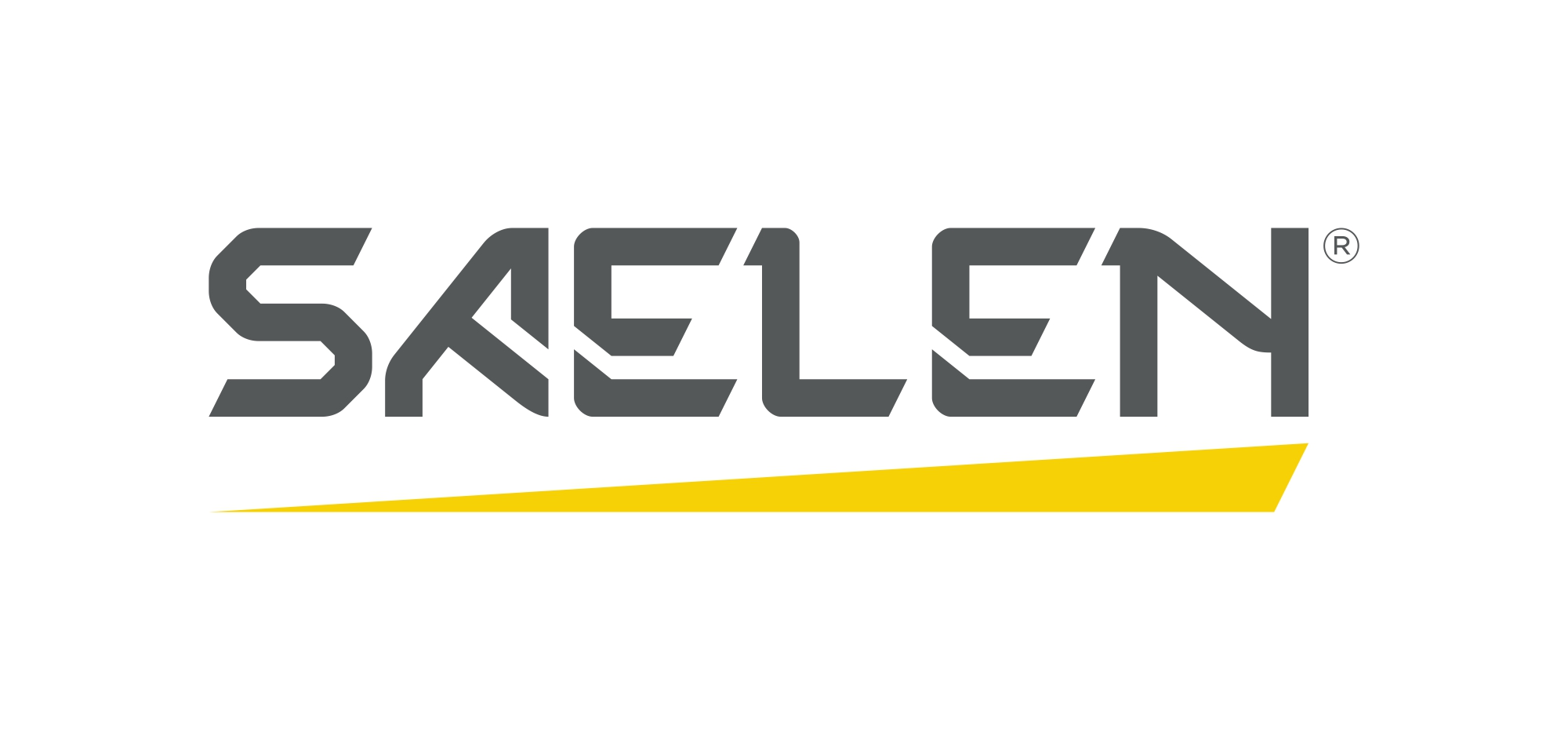 Logo SAELEN